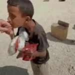 Historia e Amirit i cili u vra në Gaza ndërsa kërkonte ndihmë tronditi botën, familja ende po kërkon trupin e tij