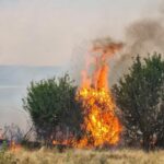 Situatë e rënduar me zjarret në Kosovë, kërkohet ndërhyrja e KFOR-it nga ajri
