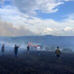 Pamje “apokaliptike”, zjarri përfshin arën me grurë në Istog
