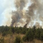 Mbi 100 zjarre të raportuara në Kosovë për 24 orë, një zjarrfikës i lënduar