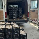 Policia parandalon kontrabandën e 910 kilogramëve kërpudha në Karaqevë