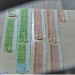 Pejë: Dy qytetarë gjejnë dhe i dorëzojnë mbi 10 mijë euro në polici