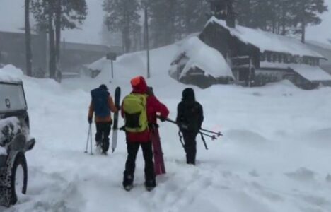 Tetë skiatorë u gjetën të vdekur pas ortekut në Kaliforni – një ende i zhdukur