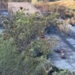 Vihet në kontroll zjarri në Poliçan, rrezikoi depot me armatim