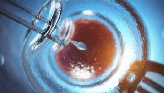 Studimi: Si u shpërnda në mbarë Europën një gjen kanceri i rrallë?