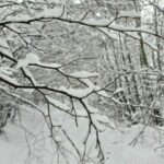 Mot i acartë në ditët në vazhdim