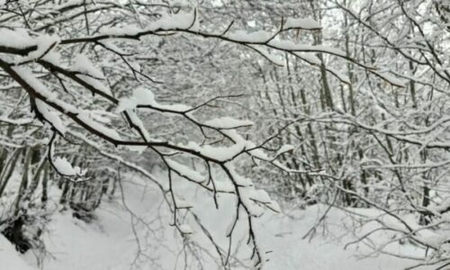 Mot i acartë në ditët në vazhdim