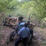 Policia në Zveçan arreston dy persona për vjedhje të pyllit