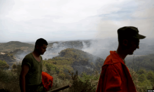 Shqipëria arreston 18 persona nën dyshimet për zjarrvënie