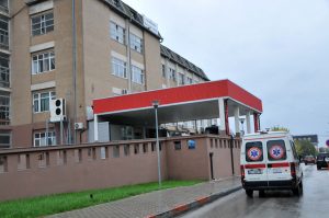 Iniciohet formimi i një shtabi emergjent në QKUK si pasojë e pranisë së qenve endacakë