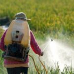 Inspektim i gjerë i institucioneve: Mbi 100 lëndë nën auditim për shkelje në regjistrimin e pesticideve