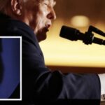 Presidenti Trump shfaqet me fasho në duar