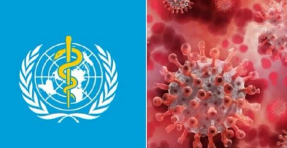 Një lloj i ri i gripit përhapet në Evropë