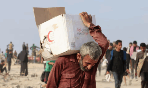 BQK: Remitancat arritën 1.42 miliard euro në vitin 2025