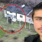 Zbardhet vrasja e 20-vjeçarit në oborr të shtëpisë në Shkodër, arrestohen 2 persona