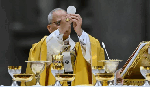 Papa Leo XIV kremton meshën e parë që nga zgjedhja – mesazhi i tij