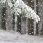 Fundjava e fundit e 2025-ës vjen me ngrica e temperatura në minus