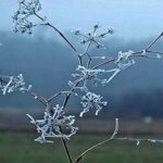 Dita e parë e vitit 2026 nis me acar