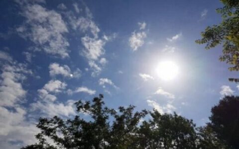 Parashikimi i motit për vikend