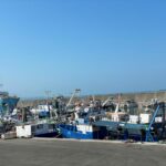 Të vetmit në Mesdhe: Peshkimi pa ndërprerje në Shqipëri rrezikon rezervat detare