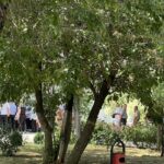 Nga e premtja fillon greva e punëtorëve të sigurimit të QKUK-së