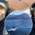 Dy kosovarë të lënduar pas rrëzimit të një aeroplani të vogël në Liqenin e Mavrovës