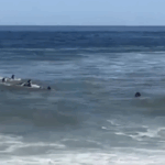 Ish-ylli i Premierligës dhe fëmijët e tij shpëtohen mrekullisht nga valët e rrezikshme në det