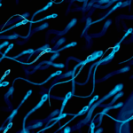 Arrihet shtatzënia e parë me spermë të gjetur nga inteligjenca artificiale