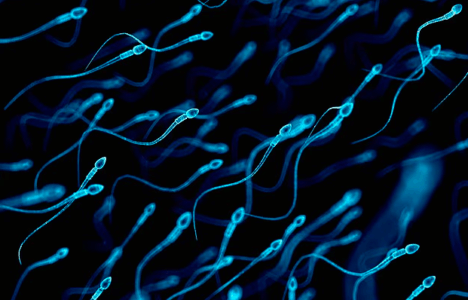 Arrihet shtatzënia e parë me spermë të gjetur nga inteligjenca artificiale