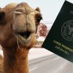 Arabia befason me nismën e pazakontë: Devetë me pasaportë zyrtare