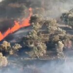 Kaos nga zjarri te Syri i Kaltër në jug të Shqipërisë, evakuohen turistët