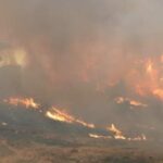 Shqipëri: Rreth 26 mijë hektarë me pyje dhe shkurre të djegura, kapin shifrën mbi 160 milionë euro dëme