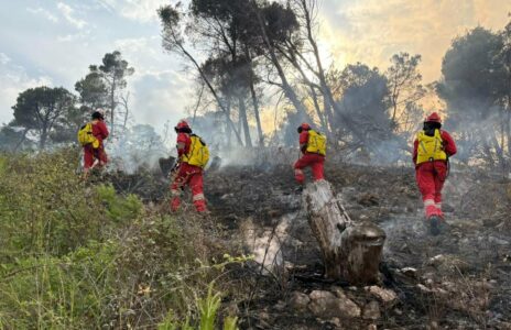 Situata e zjarreve në Shqipëri – këto zona konsiderohen me nivel rreziku të lartë