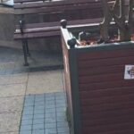 Serbët si ndalin provokimet, vendosin hartën e Kosovës me flamurin e Serbisë në qytetin ku ndodhet hoteli i Kombëtares shqiptare