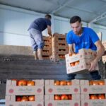 Perimet vendore shkojnë jashtë, tregu mbushet me import