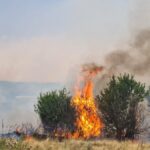 Nëntë vatra zjarri aktive dhe 23 të arrestuar për zjarrvënie në Kosovë