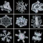 Pse fjollat e borës kanë forma të ndryshme?