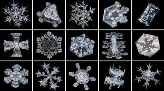 Pse fjollat e borës kanë forma të ndryshme?