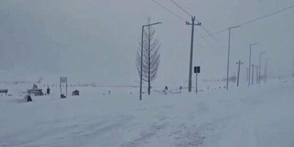 Automjeti me 3 persona bllokohet nga bora në malet e Gramshit, humbet kontakti prej orësh