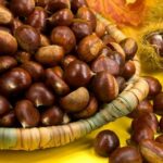 Përveç se janë të shijshme, cilat janë përfitimet shëndetësore që sjellin gështenjat?