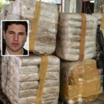 Cilët janë trafikantët më të kërkuar të drogës në Meksikë pas vrasjes së “El Mencho”, emrat në listën e përditësuar të DEA`s dhe FBI`së