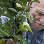 A duhet t’i vendosim fëmijëve emrat e gjyshërve?