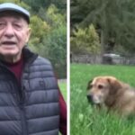 I vdiq pronari, qeni i këngëtarit të famshëm nuk pranon të hajë as të pijë (VIDEO)