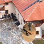 Pamjet kur policia kishte hyrë brenda Manastirit të Banjskës pas sulmit terrorist, shihen armë e municion