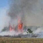 Shënohet viktima e parë nga zjarret në Shqipëri