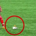 Mrekulli në futboll: Lojtari shpëton pulëbardhën që u godit nga portieri