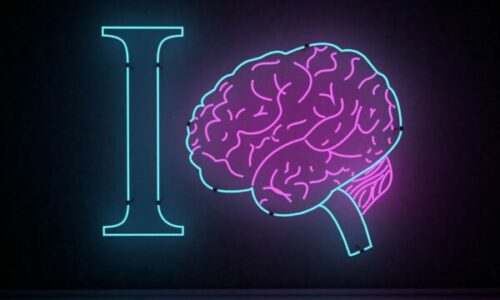 Studimi i fundit: Shqiptarët ndër 20 kombet me IQ më të lartë, të parët në Ballkan