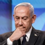 Petardat dhe fishekzjarret: rreziku i heshtur i fundvitit për qentë dhe macet