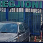 Myku i zi do të zhduket nga shtëpia juaj nëse bëni një veprim të thjeshtë çdo mëngjes