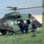 Policia në Shkodër asgjëson mbi 1000 bimë kanabisi, procedohen kryetarët e fshatrave